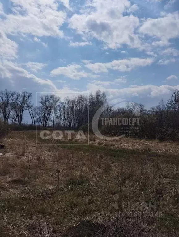 Участок в Воронежская область, с. Новая Усмань 142 (1189.0 сот.) - Фото 1