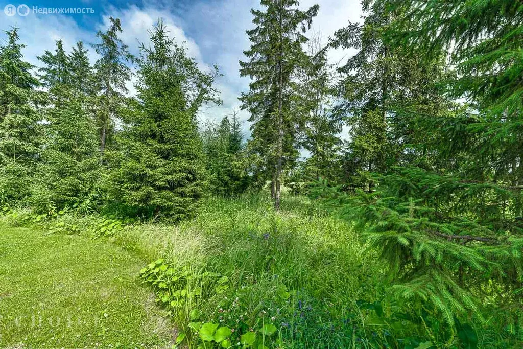 Участок в Чесноково, КП Резиденции Бенилюкс (161.71 м) - Фото 1