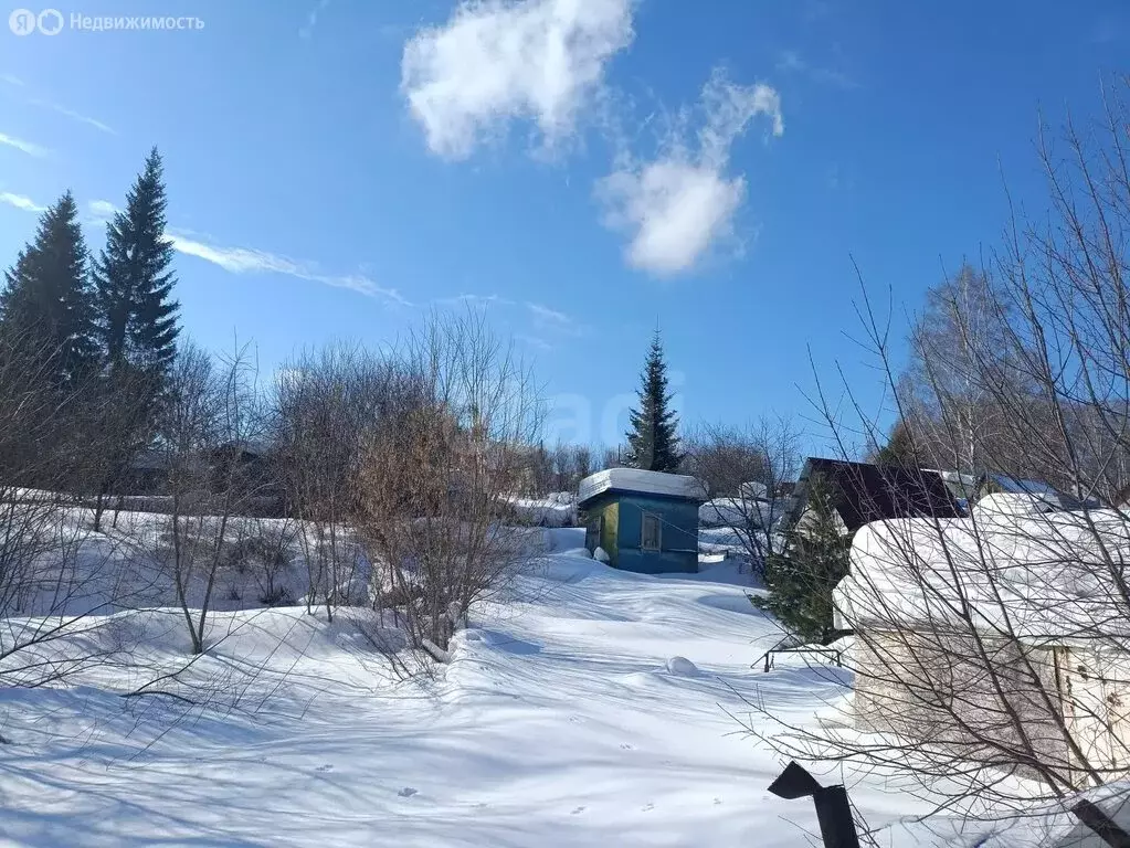 Участок в Новосибирск, НСТ Ветеран, Цветочная улица (6 м) - Фото 2