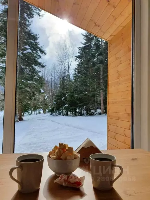 Дом в Карачаево-Черкесия, Зеленчукский район, с. Архыз  (35 м) - Фото 1