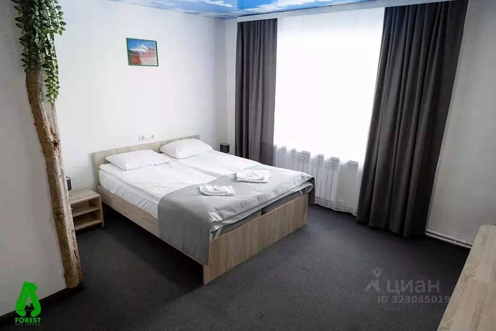 Комната Камчатский край, Елизово Геофизическая ул., 9А (18.0 м) - Фото 1