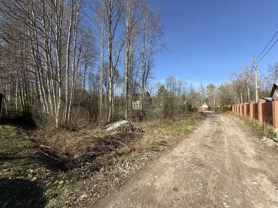 Участок 14,9 сот. (ИЖС) - Фото 0