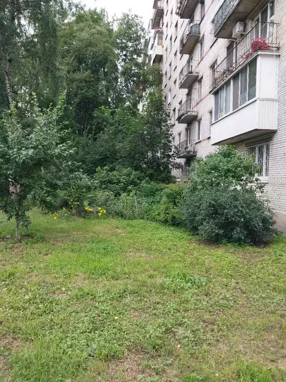 3-к кв. Санкт-Петербург ул. Стойкости, 2/11 (60.0 м) - Фото 2