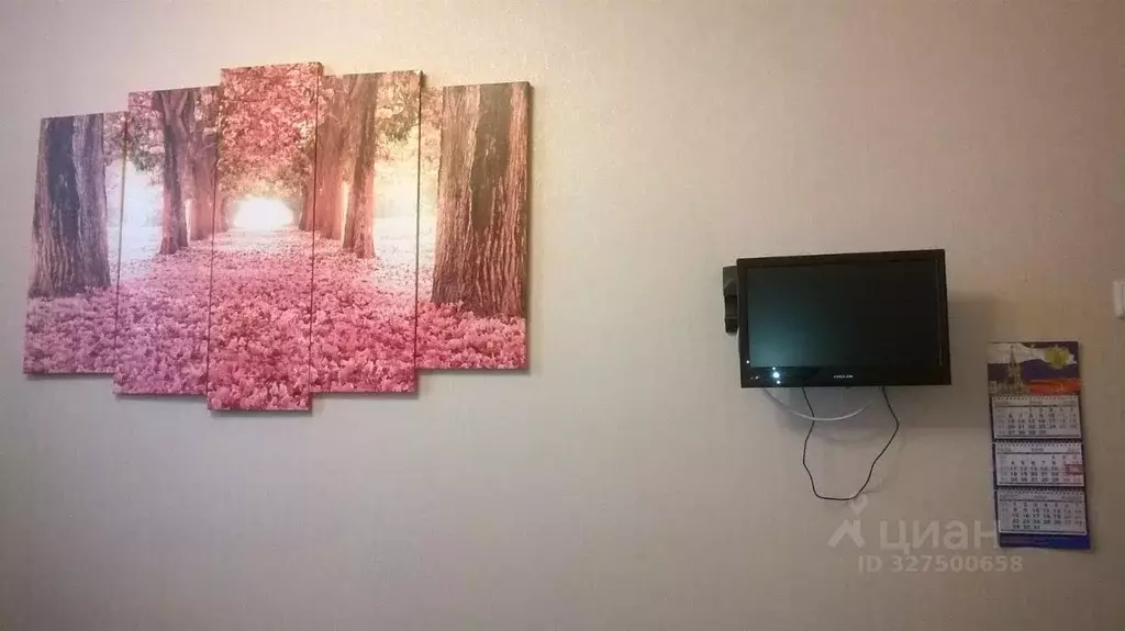 Комната Москва ул. Маршала Бирюзова, 8К1 (19.0 м) - Фото 2