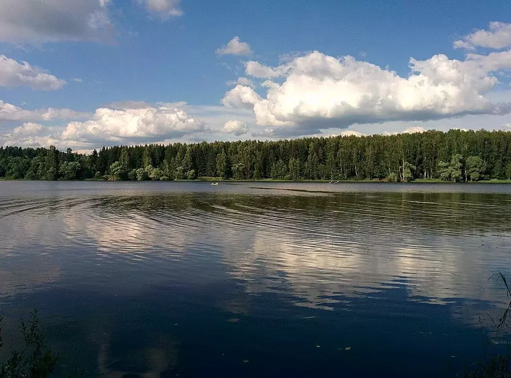 Участок, 6 сот., поселения (ижс) - Фото 0