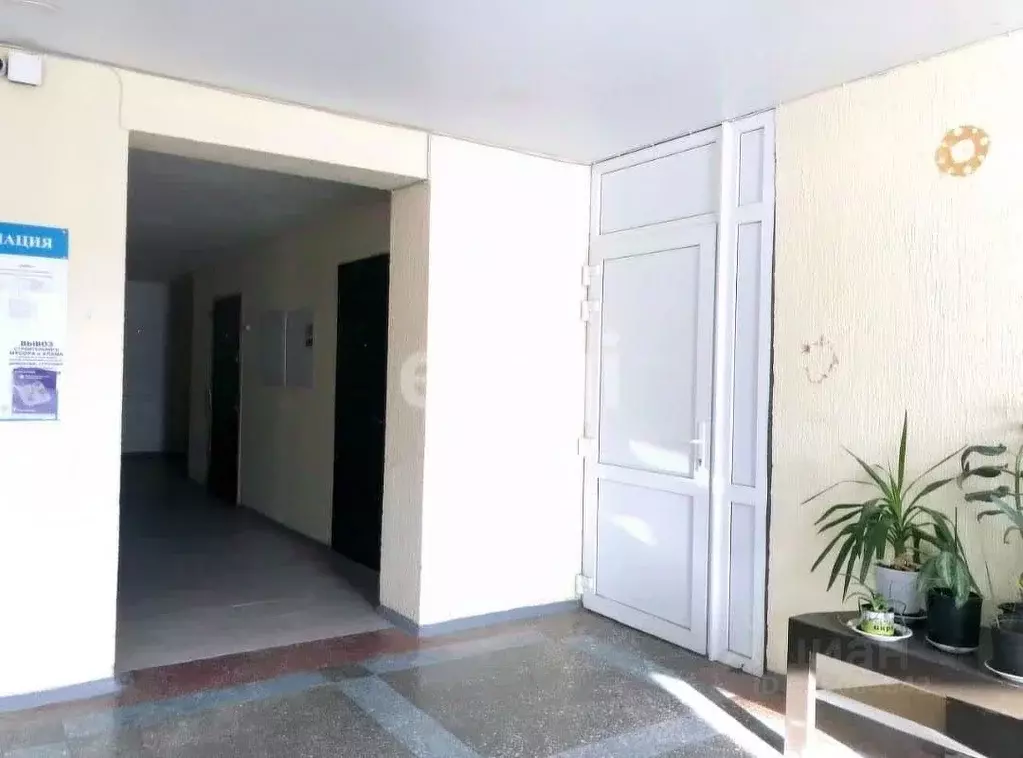 Студия Краснодарский край, Геленджик ул. Гоголя, 11А (19.5 м) - Фото 2