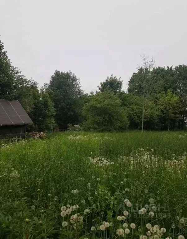 Участок в Ленинградская область, Ломоносовский район, Виллозское ... - Фото 0