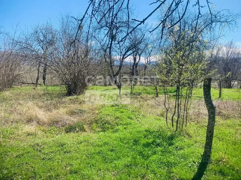 Участок в Краснодарский край, Апшеронский район, с. Черниговское ... - Фото 1