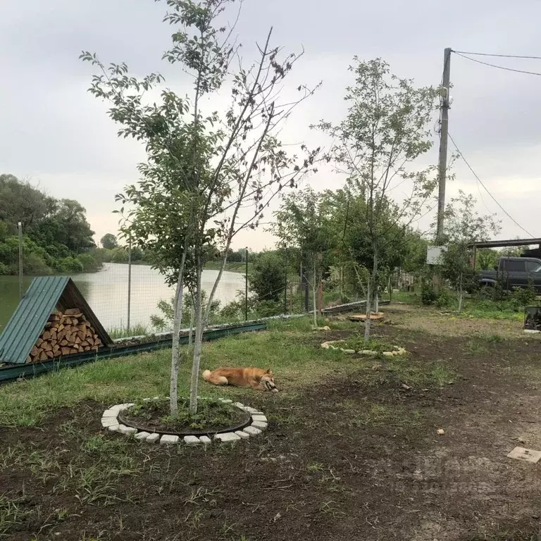 Участок в Адыгея, Тахтамукайский район, Энемское городское поселение, ... - Фото 2