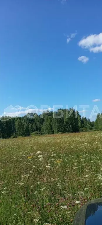 участок в тюменская область, тюменский район, с. кулаково (10.0 сот.) - Фото 0