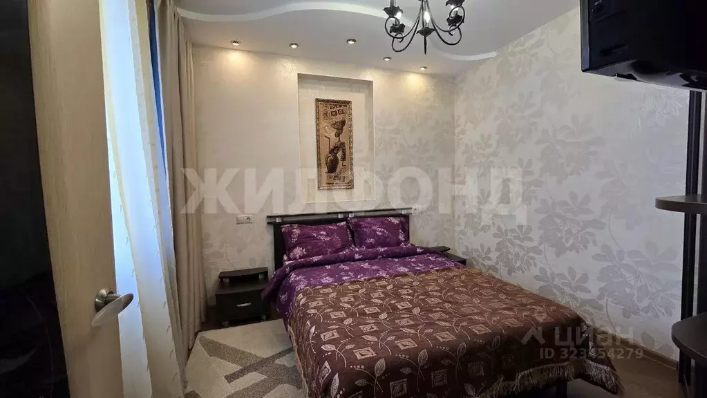 2-к кв. Новосибирская область, Новосибирск Нижегородская ул., 18 (55.0 ... - Фото 2