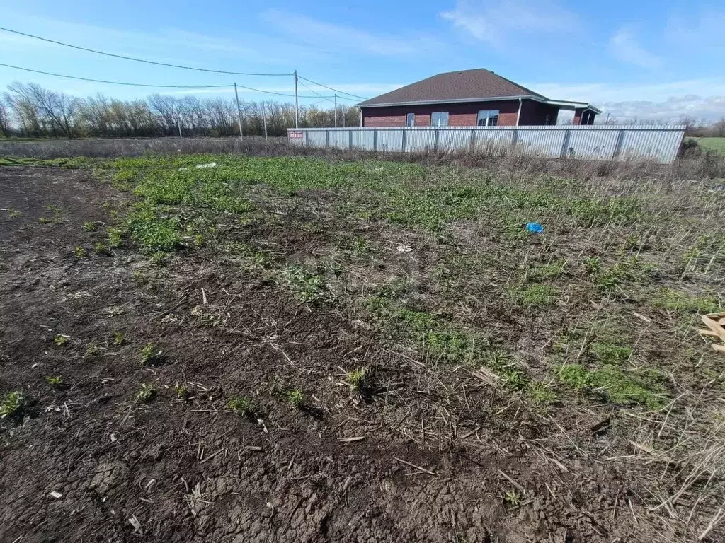 Участок в Ростовская область, Неклиновский район, с. Новобессергеневка ... - Фото 1