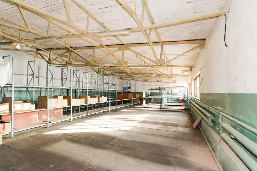 Склад в Тюменская область, Тюмень ул. Бабарынка, 1/10 (1009 м) - Фото 1