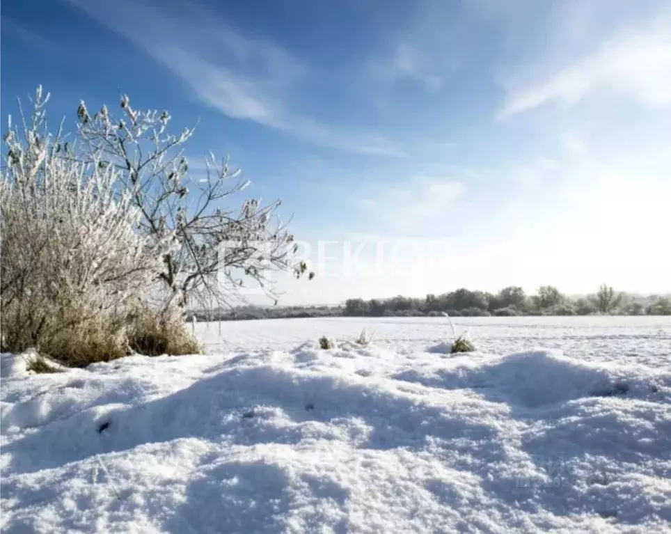 Участок в Ивановская область, Иваново ул. Дальняя Балинская, 82 (8.0 ... - Фото 1