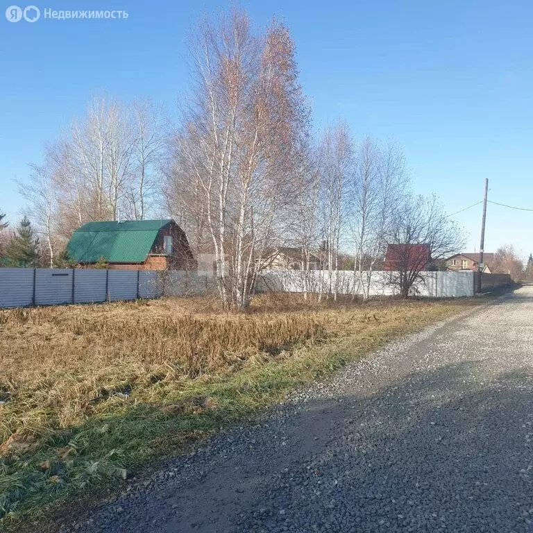 Участок в Колыванский район, СТ Надежда (10 м) - Фото 1