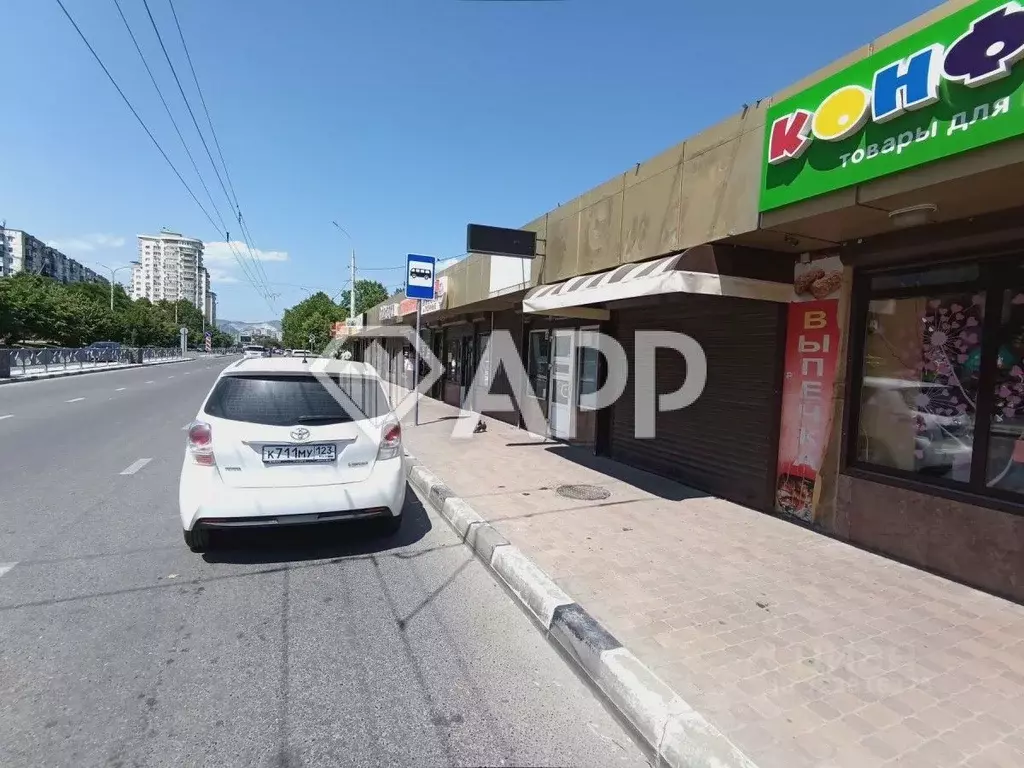 Торговая площадь в Краснодарский край, Новороссийск просп. ... - Фото 2