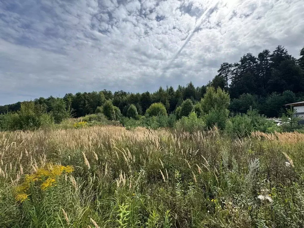 Участок в Тверская область, Калининский муниципальный округ, д. ... - Фото 2