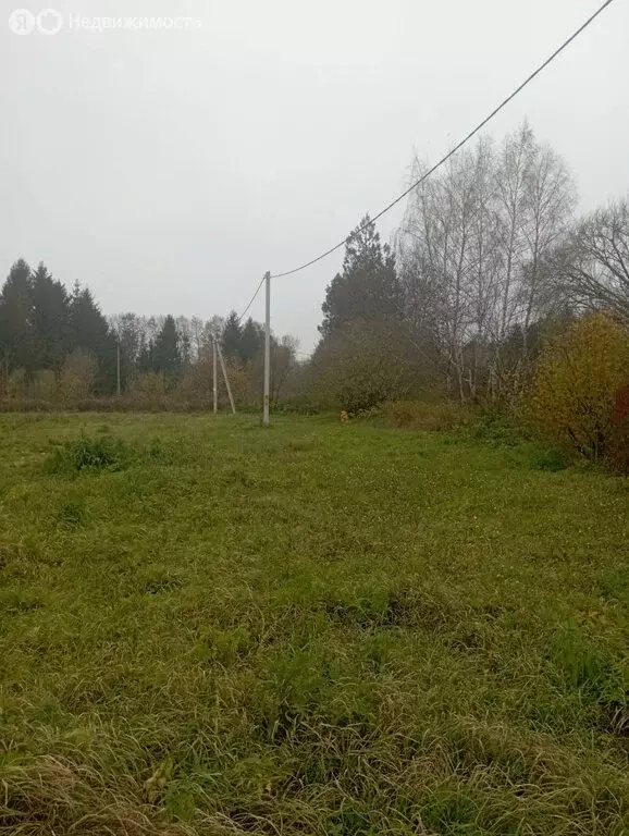 Участок в Калининградская область, Гурьевский муниципальный округ, ... - Фото 1