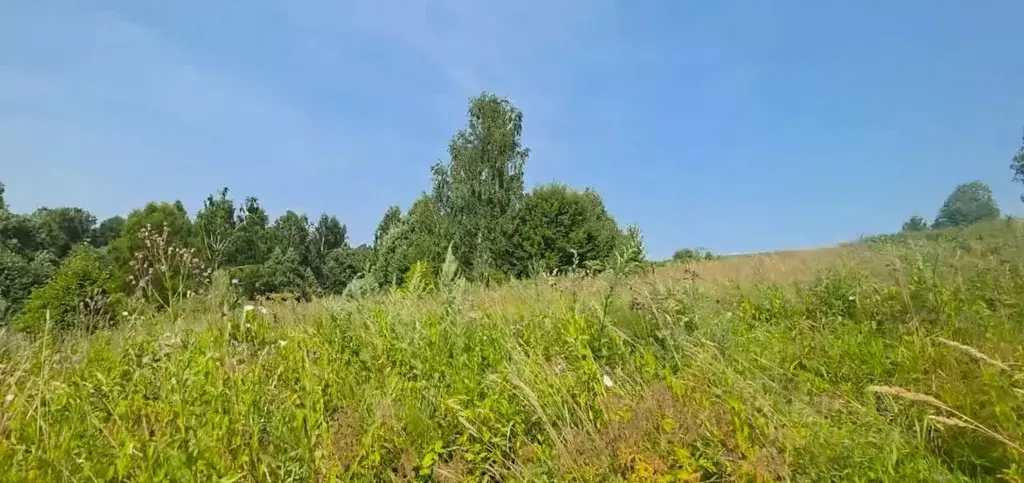 Участок в Московская область, Клин городской округ, д. Княгинино ул. ... - Фото 1
