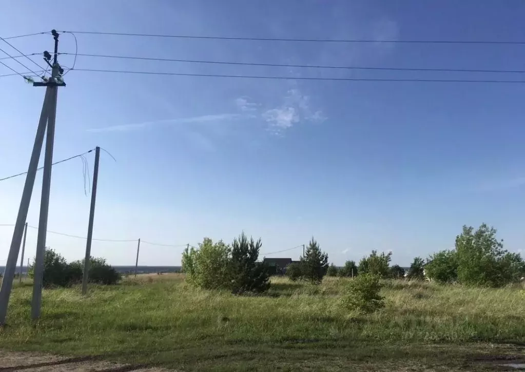 Участок в Курганская область, Шадринск ул. Купеческая, 3 (11.92 сот.) - Фото 1