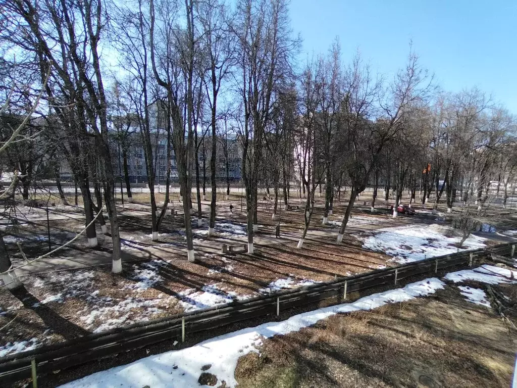 1-к кв. Брянская область, Брянск Советская ул., 32А (30.4 м) - Фото 2