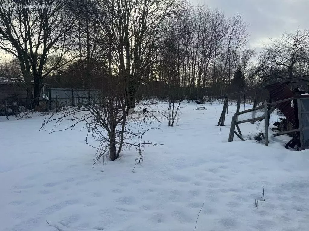 Участок в Красное Село, улица Голубко, 9 (9 м) - Фото 2