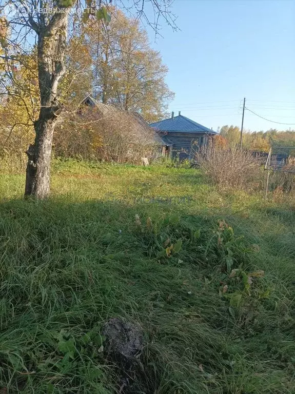 Дом в Нижегородская область, Богородский муниципальный округ, деревня ... - Фото 2