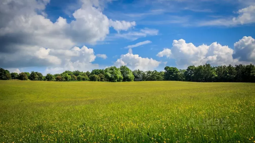 Участок в Свердловская область, Алапаевск  (15968.1 сот.) - Фото 1