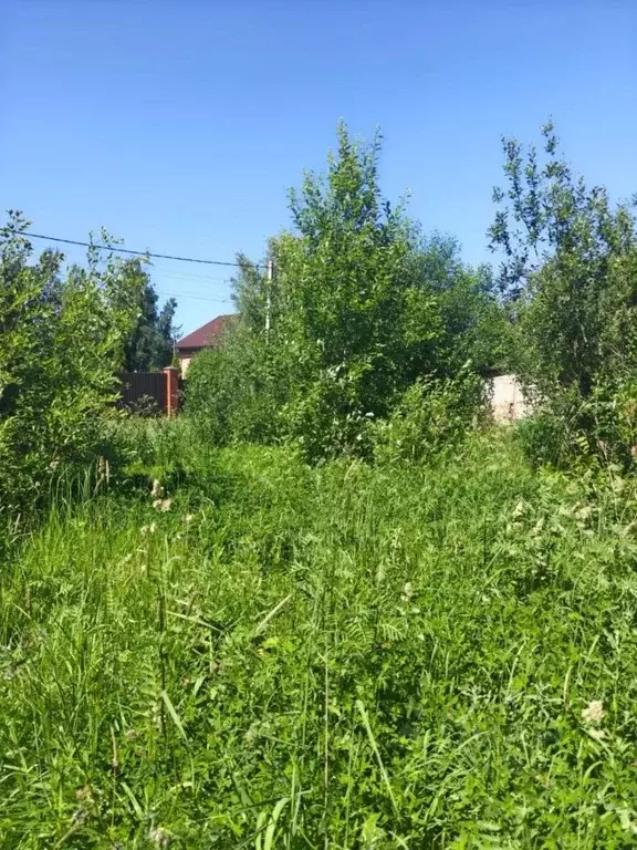 Участок в Ленинградская область, Ломоносовский район, Виллозское ... - Фото 1