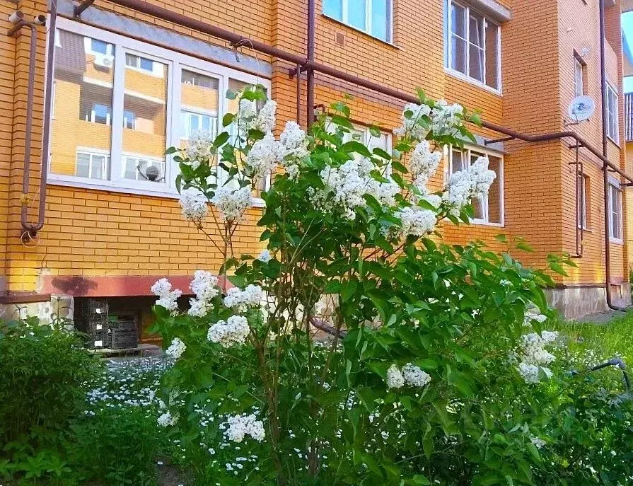 2-к кв. Московская область, Щелково городской округ, д. Оболдино ул. ... - Фото 1