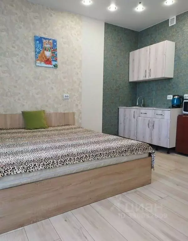 Студия Новосибирская область, Новосибирск Железнодорожная ул., 15/1 ... - Фото 2