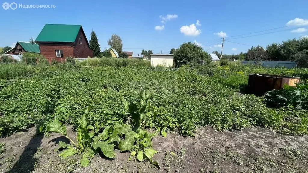 Участок в Искитимский район, Чернореченский сельсовет, садовое ... - Фото 1