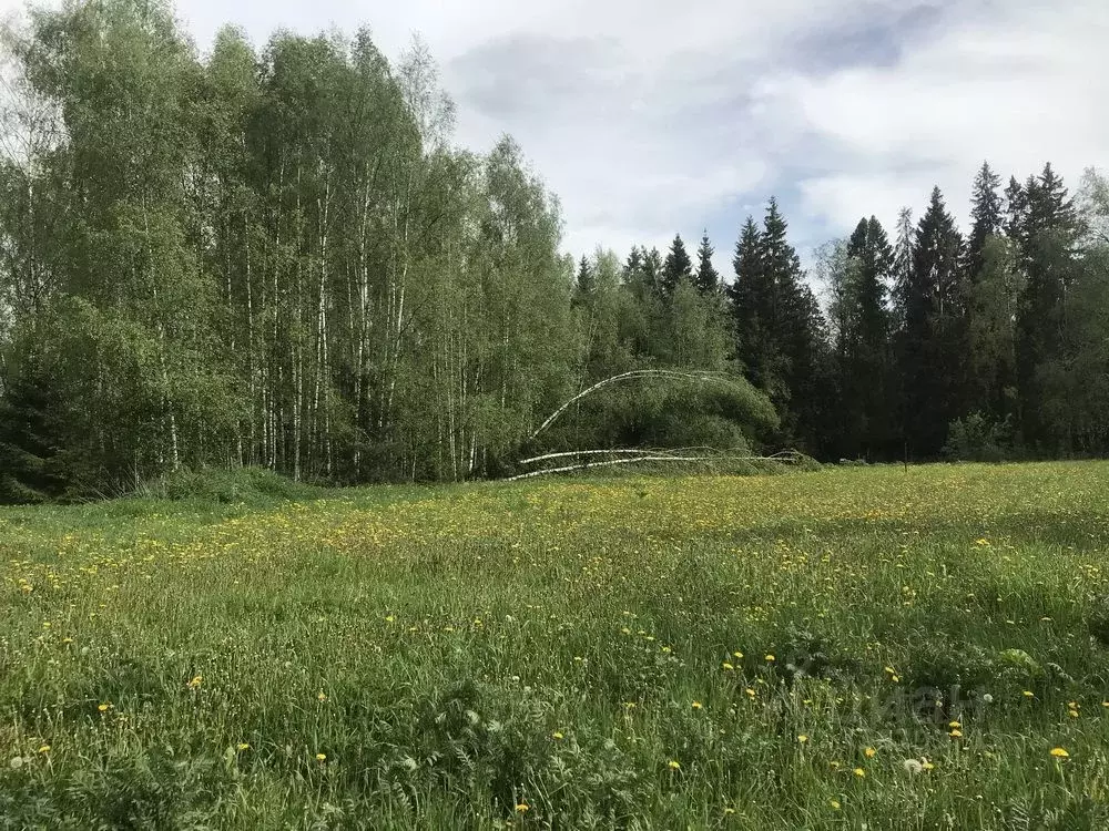 Участок в Московская область, Дмитровский муниципальный округ, д. ... - Фото 0