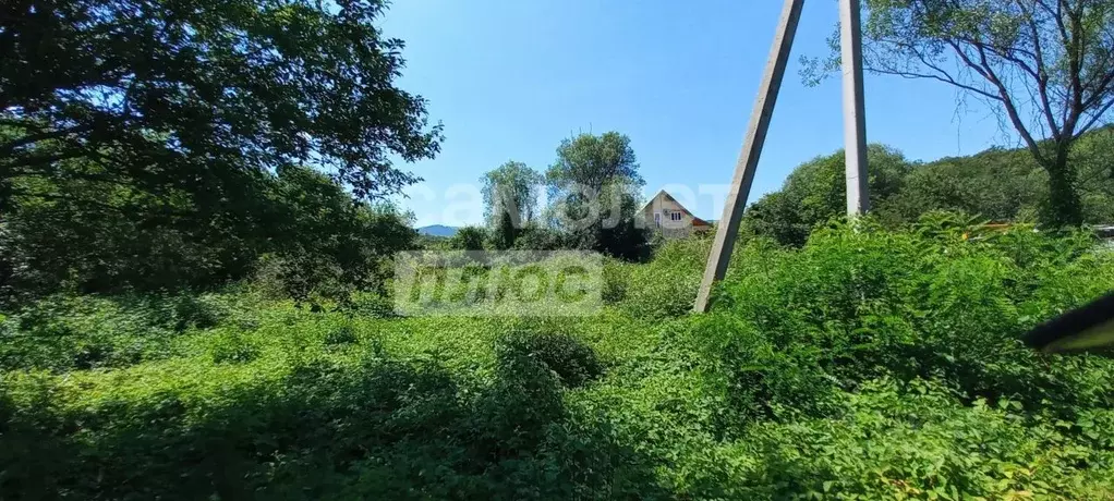 Участок в Краснодарский край, Туапсинский муниципальный округ, с. ... - Фото 0