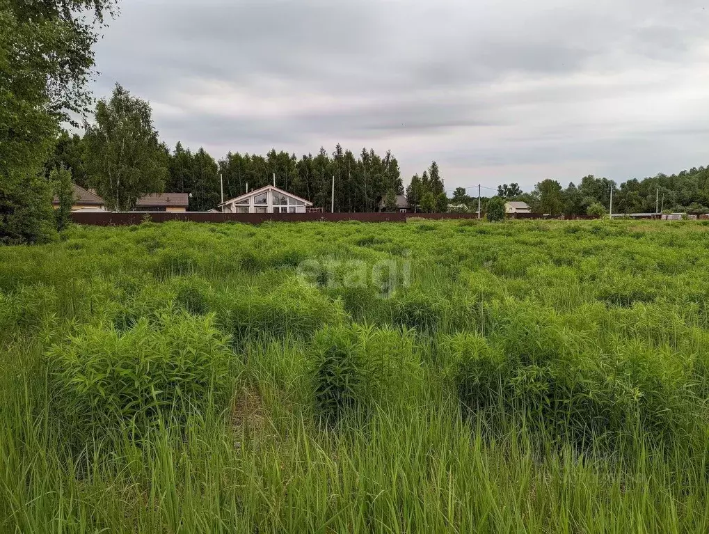 Участок в Тульская область, Тула муниципальное образование, с. ... - Фото 1