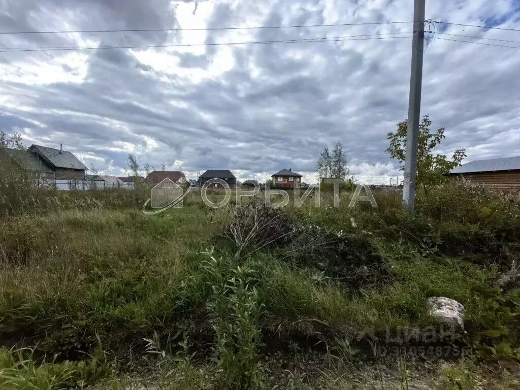 Участок в Тюменская область, Тюменский район, с. Мальково Новая ул., ... - Фото 0