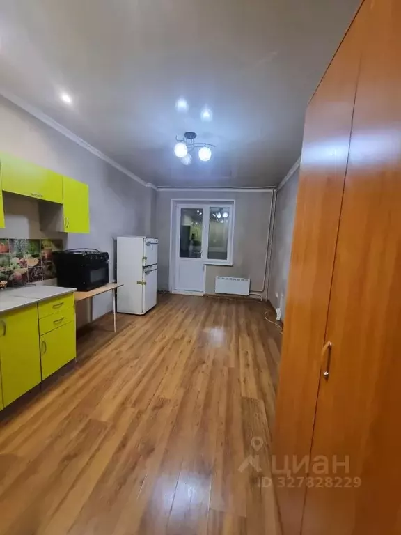 Студия Хакасия, Абакан просп. Дружбы Народов, 39 (28.0 м) - Фото 2