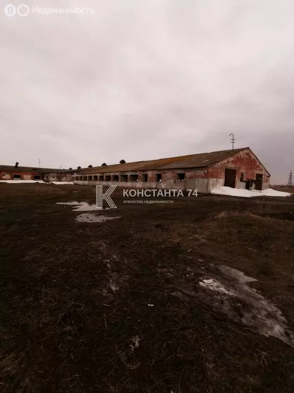 Участок в село Сугояк, улица 70 лет Октября, 12 (65672 м) - Фото 0