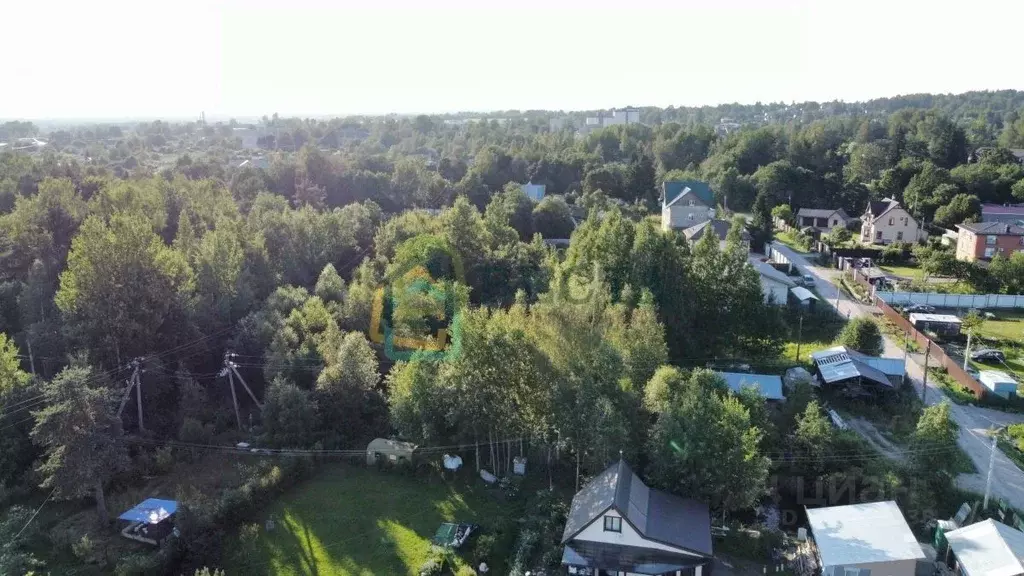 Участок в Ленинградская область, Всеволожский район, Агалатовское ... - Фото 1