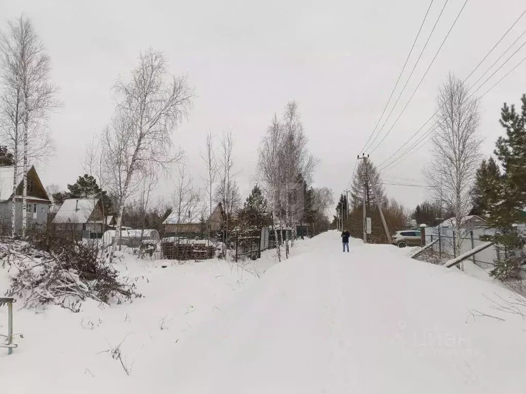 Участок в Тюменская область, Тюменский муниципальный округ, Лесник-2 ... - Фото 2