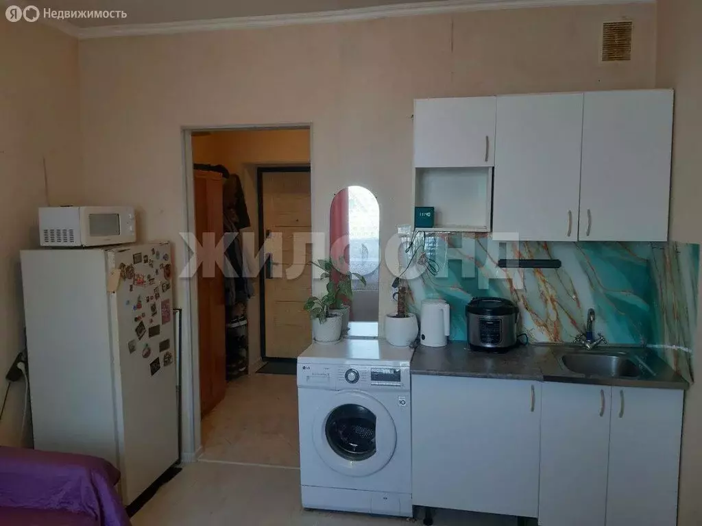 Квартира-студия: село Криводановка, Микрорайон, 8А (18.1 м) - Фото 2