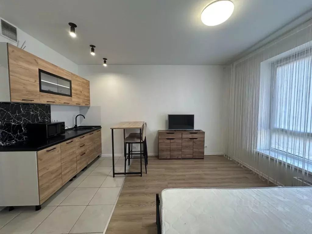 Студия Московская область, Красногорск городской округ, пос. ... - Фото 2