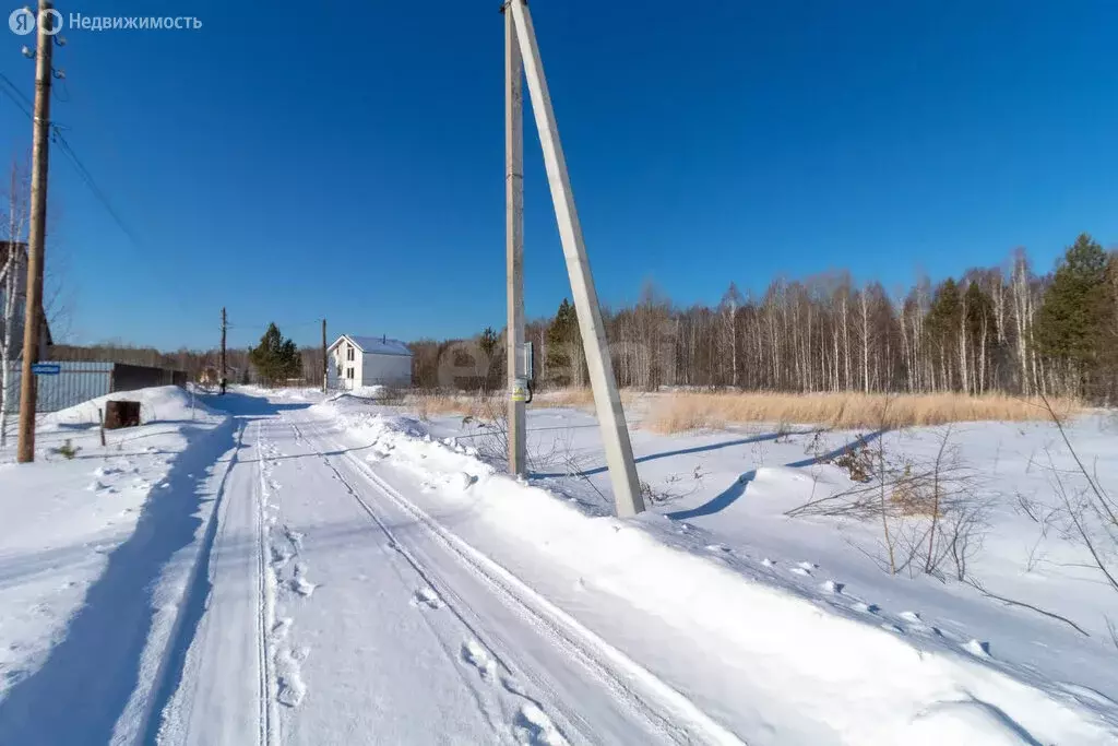 Участок в Нижнетавдинский район, СНТ Сундукуль, Васильковая улица (40 ... - Фото 0