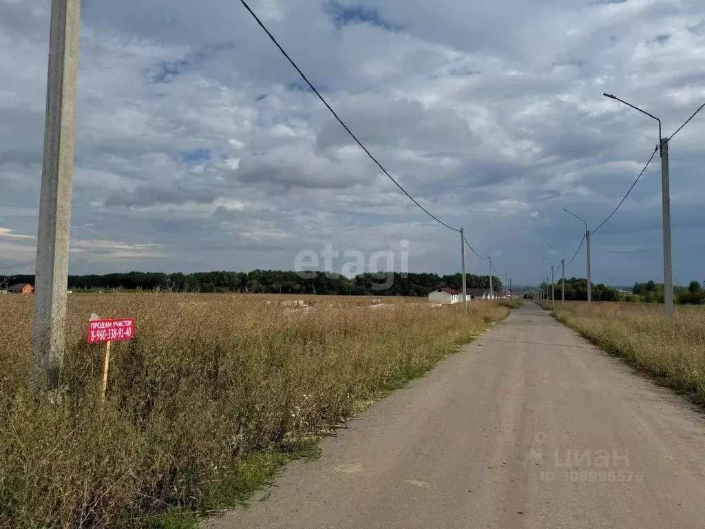 Участок в Мордовия, Ичалковский район, с. Кемля ул. Строителей (15.0 ... - Фото 0