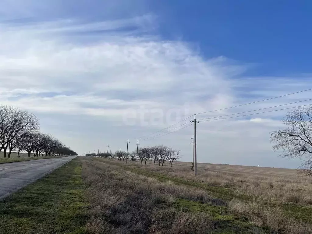 Участок в Крым, Сакский район, с. Молочное  (198.92 сот.) - Фото 0
