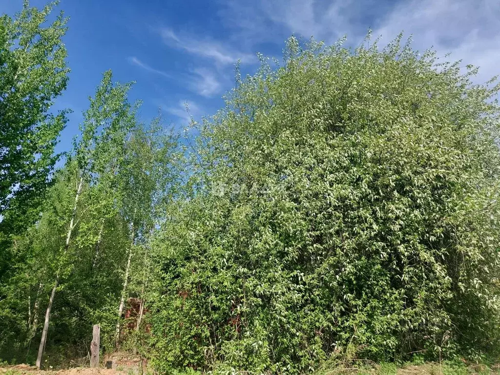 Участок в Коми, Сыктывкар Чит мкр, 60 (6.7 сот.) - Фото 0