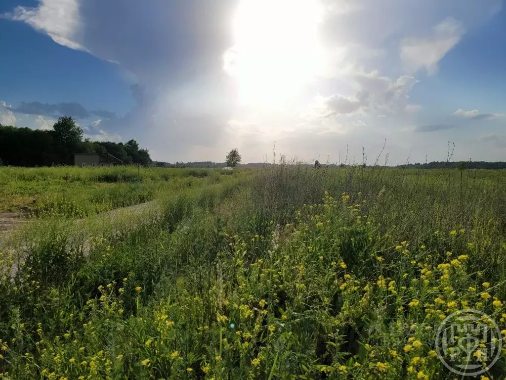 Участок в Ленинградская область, Ломоносовский район, Оржицкое с/пос, ... - Фото 1