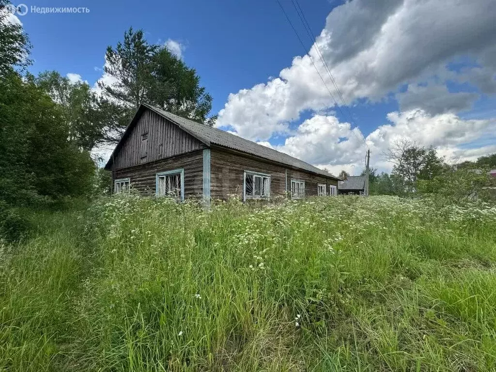 Дом в Ярославский муниципальный округ, деревня Дмитриево (60 м) - Фото 1