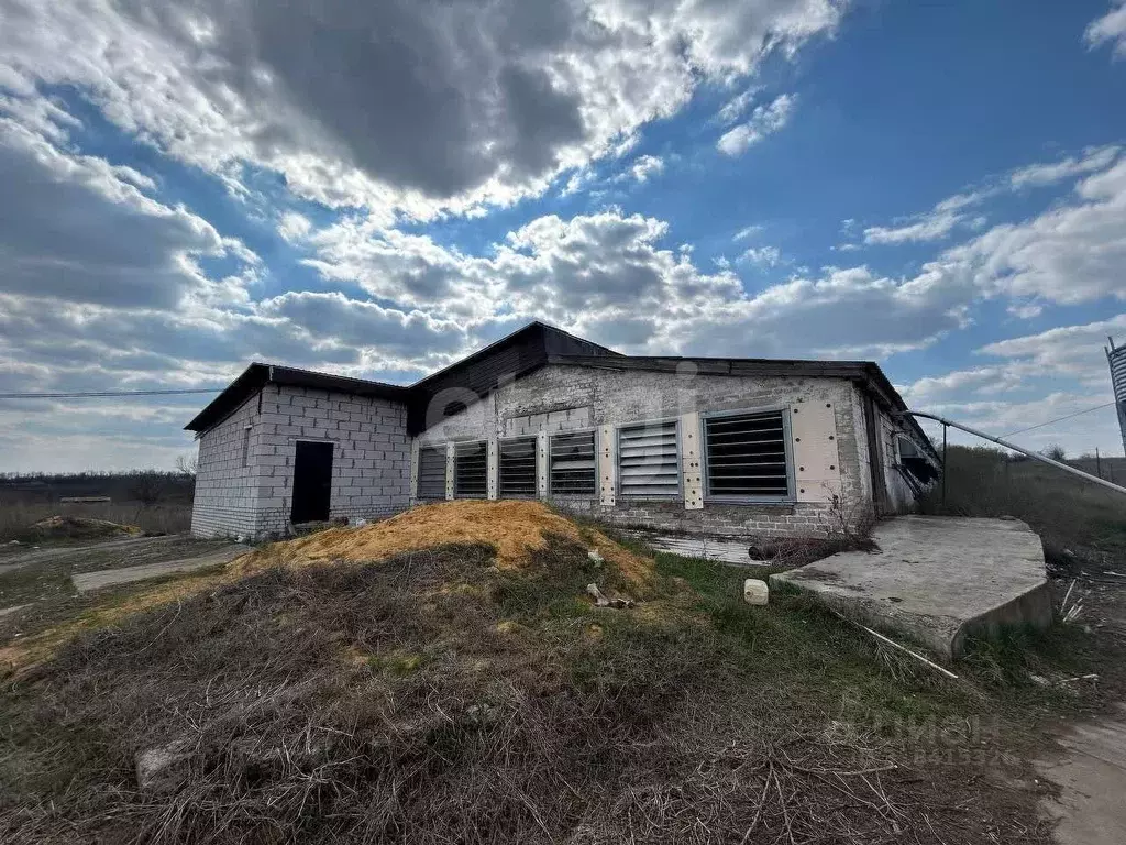 Склад в Воронежская область, Семилукский район, с. Землянск ... - Фото 1