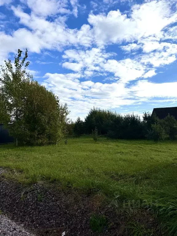 Участок в Ленинградская область, Ломоносовский район, Низинское с/пос, ... - Фото 2